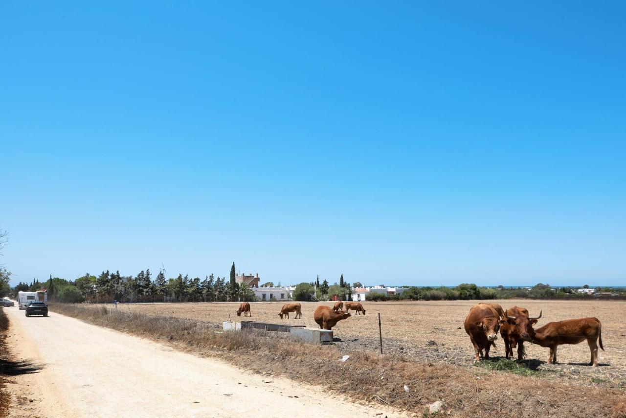 Willa Casa Mora - Vejer, El Palmar Vejer de la Frontera Zewnętrze zdjęcie